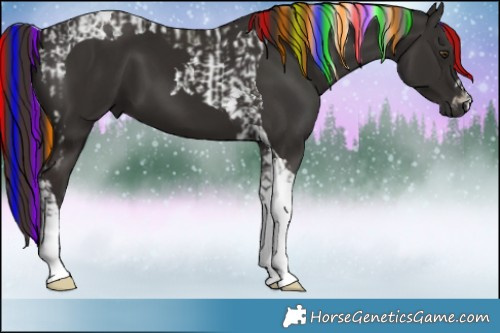 Horse Color:Painted Liver Chestnut Tobiano  and Painted Liver Chestnut Tobiano 