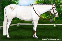 Horse Color:Silver Bay Dun Sabino Tobiano Frame Varnish Rabicano