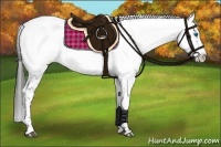Horse Color:Liver Chestnut Frame