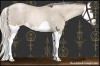 Horse Color:Chocolate Palomino Roan Pearl Splash 