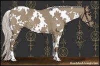 Horse Color:White Spotted Silver Smoky Grullo 