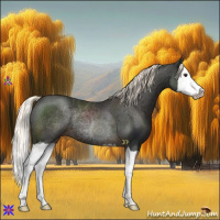 Horse Color:Liver Chestnut Mushroom Splash 