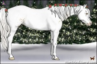 Horse Color:Silver Bay Pearl Splash Tobiano Appaloosa 