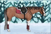 Horse Color:Bay Roan Splash Appaloosa 