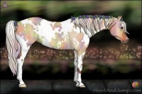 Horse Color:Nacre White Spotted Silver Bay Dun 