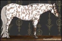 Horse Color:Silver Bay Roan Leopard 