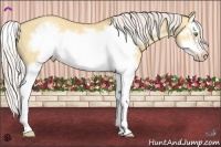 Horse Color:Silver Sable Champagne Dun Splash Frame 