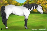 Horse Color:Brown Chinchilla