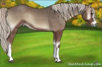 Horse Color:Silver Blue Onyx 