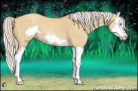 Horse Color:Silver Amber Champagne Dun Splash Frame