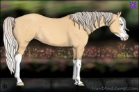 Horse Color:Silver Sable Cream Champagne Dun Splash 