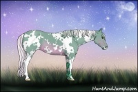 Horse Color:Watercolor White Spotted Silver Brown 