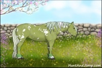 Horse Color:Watercolor White Spotted Silver Bay 