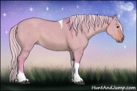 Horse Color:Watercolor Silver Brown Dun Tobiano 