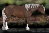 Horse Color:Silver Brown 