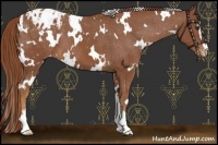 Horse Color:White Spotted Chestnut Sabino Varnish 