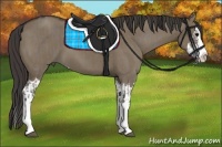 Horse Color:Grullo Sabino Splash  and Smoky Grullo Sabino Splash 