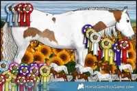 Horse Color:Gray Silver Buckskin Sabino Splash Tobiano Rabicano