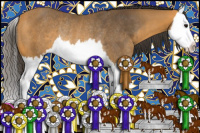 Horse Color:Buckskin Sabino Splash Rabicano