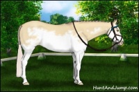 Horse Color:Silver Classic Champagne Dun Splash Frame