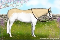 Horse Color:Silver Classic Champagne Dun Splash Frame 