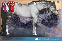 Horse Color:Liver Chestnut Ice Splash Tobiano 