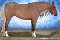 Horse Color:Silver Brown Roan 