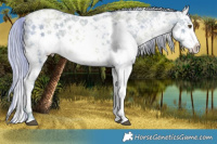 Horse Color:Watercolor White Spotted Liver Chestnut Ice Pearl Sabino 