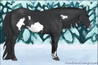 Horse Color:Black  and Black Frame 