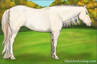 Horse Color:Buckskin Roan Pearl  and Silver Buckskin Roan Pearl 