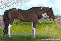 Horse Color:Brown Tobiano