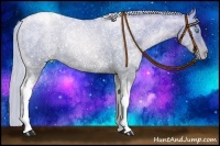Horse Color:Silver Smoky Black Ice Pearl Tobiano 