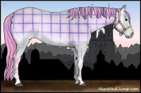 Horse Color:Watercolor Plaid  Bay Onyx 