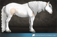 Horse Color:Silver Amber Champagne Pearl Splash Tobiano Rabicano