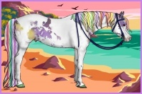 Horse Color:Painted White Spotted Liver Chestnut Splash Tobiano 