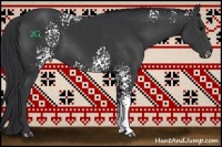 Horse Color:White Spotted Black 