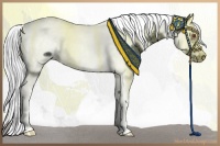 Horse Color:White Spotted Silver Black Chinchilla Splash Tobiano Frame Rabicano 