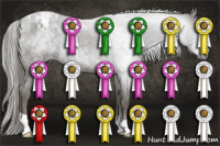 Horse Color:Gray Smoky Blue Roan Appaloosa 