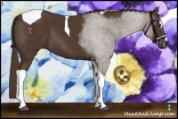 Horse Color:Liver Chestnut Sabino Tobiano 