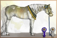 Horse Color:White Spotted Liver Chestnut Splash 