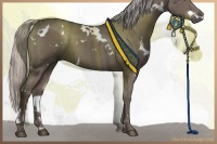 Horse Color:White Spotted Silver Black 