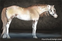 Horse Color:White Spotted Liver Red Onyx Pearl Sabino Splash Frame and White Spotted Liver Red Onyx Pearl Splash Frame