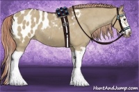 Horse Color:Liver Red Dun Roan Splash Frame Near Leopard Rabicano 