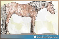 Horse Color:White Spotted Liver Chestnut Mushroom Sabino and Gold Champagne Mushroom