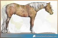 Horse Color:White Spotted Liver Chestnut Mushroom  and Gold Champagne Mushroom 