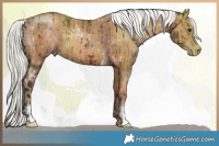 Horse Color:White Spotted Liver Chestnut Mushroom and Gold Champagne Mushroom