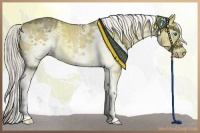 Horse Color:White Spotted Liver Red Dun Splash 