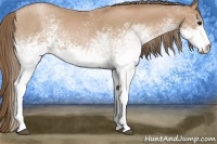Horse Color:White Spotted Black Pearl 