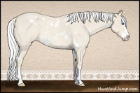 Horse Color:White Spotted Silver Smoky Creme Roan Splash 