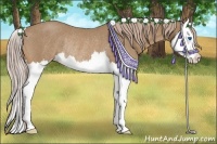 Horse Color:Palomino Roan Splash Rabicano 